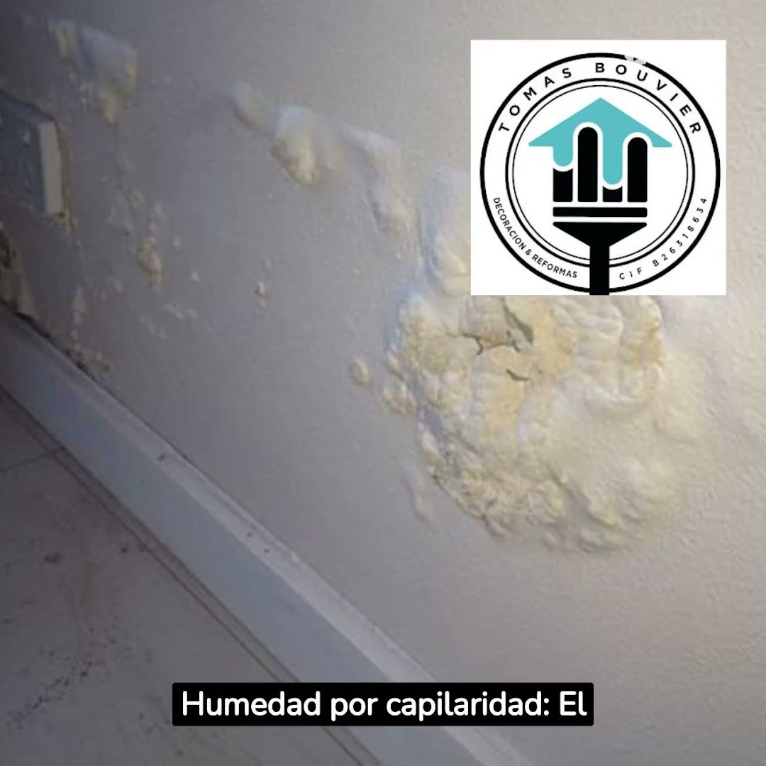 PINTURA DECORACION TOMÁS BOUVIER — Fotos 5